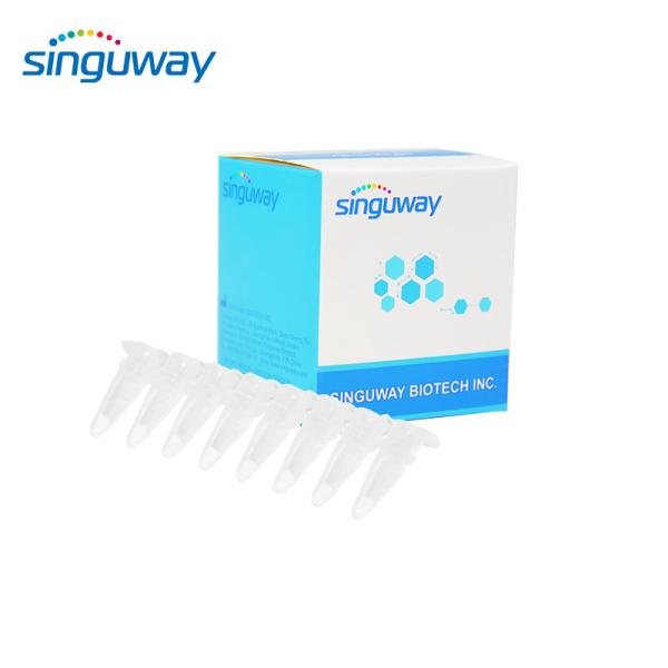 China 15 Types HPV Real Time PCR Kit 40uL Qualitative HPV PCR Kit For