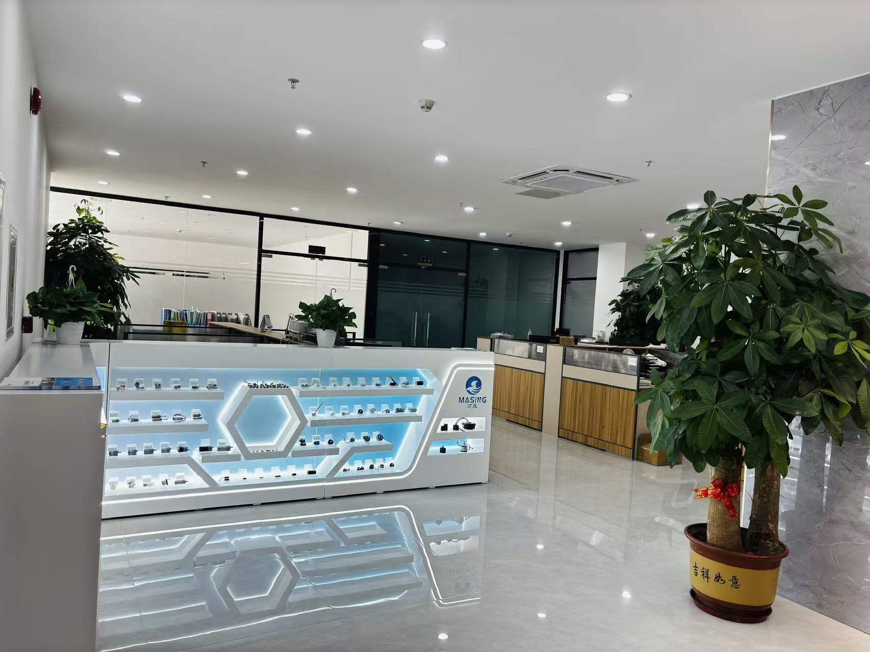 China Factory - Masing Motor (Shenzhen) Co., Ltd