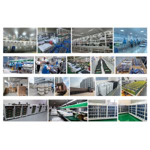 China Factory - Deligreen Power Co.,ltd