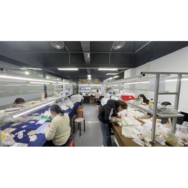 China Factory - Dongguan Jiexing Jewelry Accessories Co., Ltd.