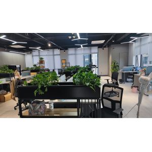 China Factory - Hefei Purple Horn E-Commerce Co., Ltd.