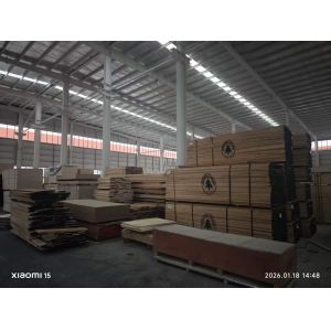 China Factory - Qingdao U+ Health Technology Co., Ltd.