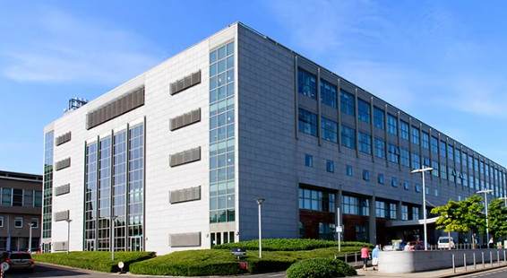 China Factory - Chongqing Yidaoyuan Trade Co., Ltd.