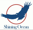 China factory - Shenzhen Shining Ocean International Logistics Co., Ltd.
