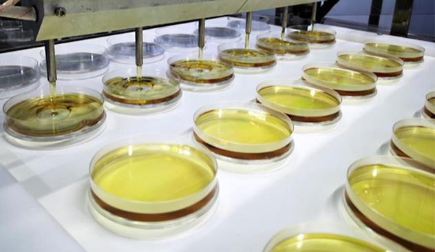 China Factory - Shenzhen Lijing Biotechnology Co., Ltd.
