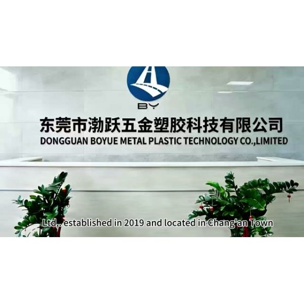 China Factory - Dongguan Boyue Metal Plastic Technology Co., Ltd.