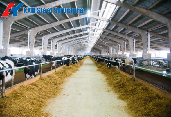 China Home Textile products