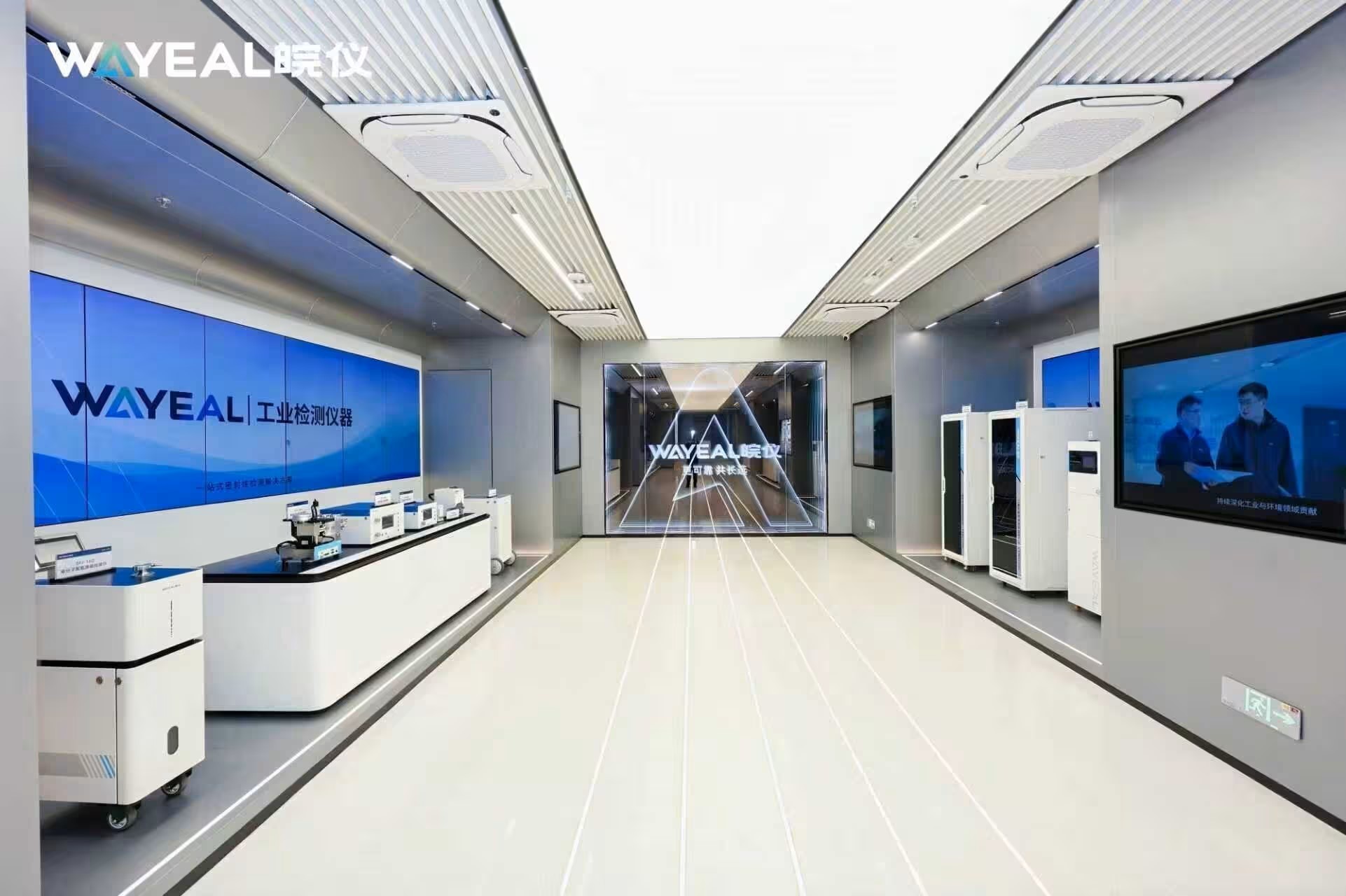 China Factory - Anhui Wanyi Science and Technology Co., Ltd.