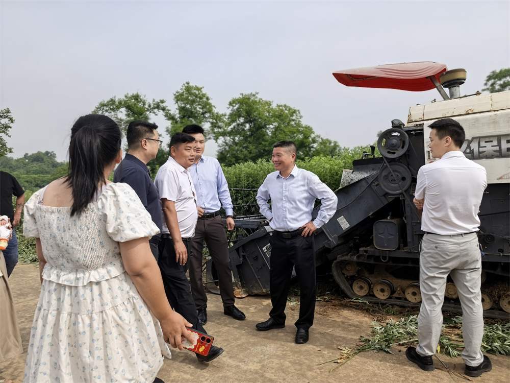 China Factory - Hubei Yishiyuan Chinese Mugwort Biotechnology Company Limited