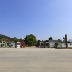 China Factory - GUANGDONG HUAXING PACKAGING CO., LTD.