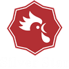 China factory - Henan Silver Star Poultry Equipment Co.,LTD