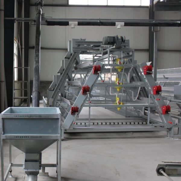 China Grain products