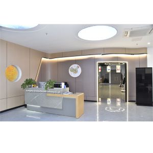 China Factory - Guangzhou Xinshida Electronic Technology Co., Ltd.
