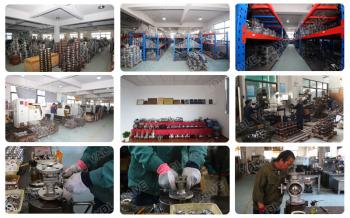 China Factory - Wenzhou Xidelong Valve Co. LTD