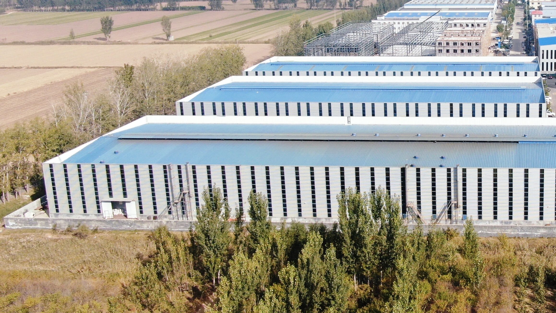 China Factory - Shandong Looplink Supply Chain Co., Ltd.