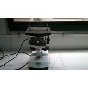 China Factory - Delux International Co.,Ltd