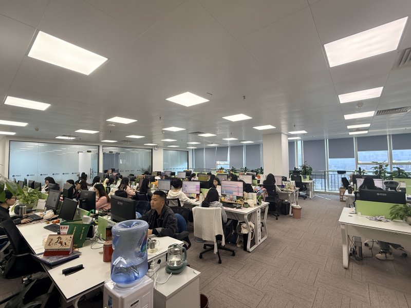 China Factory - Carnival International Logistics(Shenzhen)Co.,Ltd