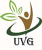 China factory - UVG Technology Co.,Ltd