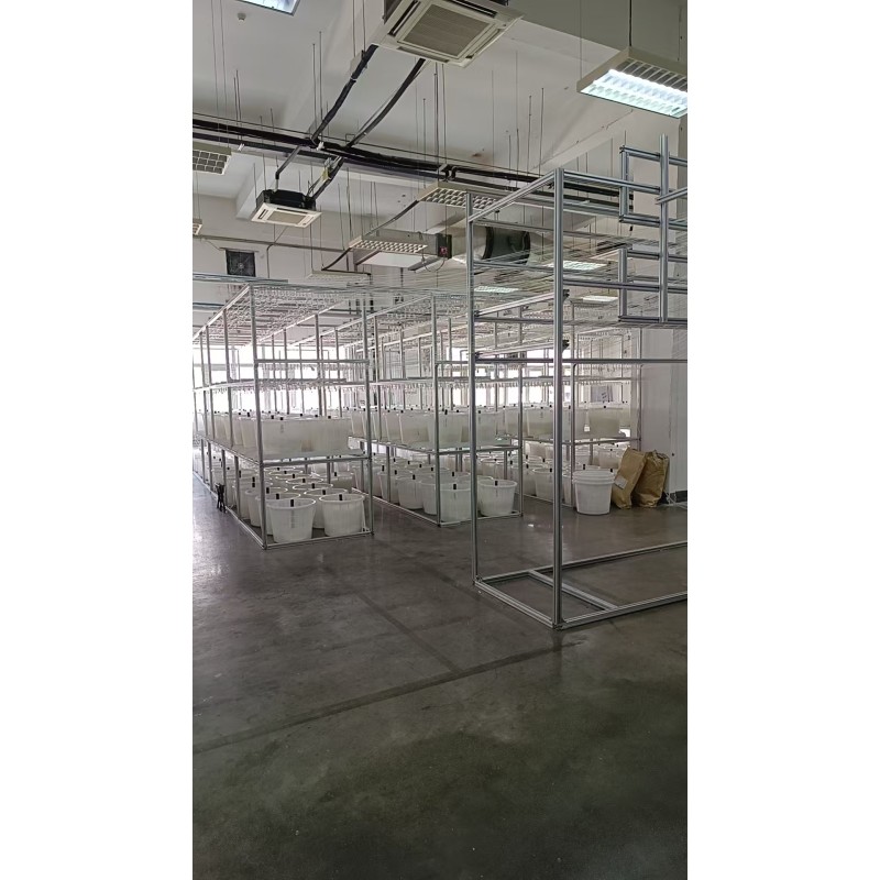 China Woodworking Machinery products