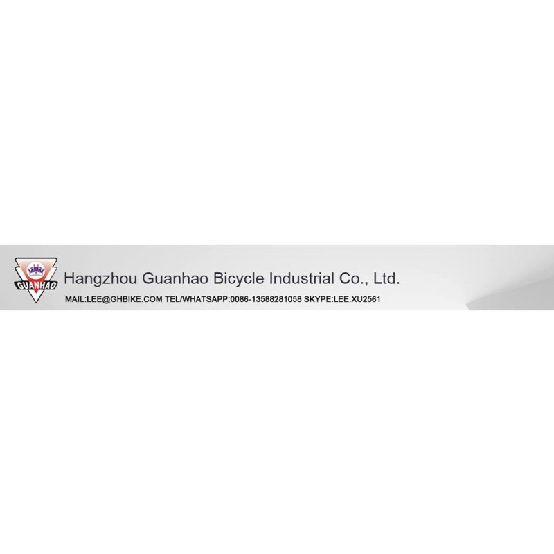 China factory - Hangzhou Guanhao Bicycle Industrial Co., Ltd.