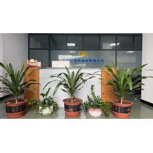 China Factory - Dongguan Xingqiang Circuit Board Technology Co., Ltd.