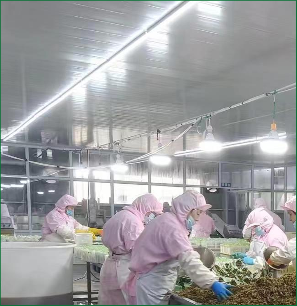 China Factory - BLACKSTONE TRADE PTE.LTD