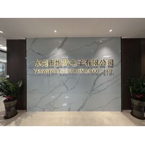 China Factory - Dongguan Yeswitch Electronics Co.,Ltd