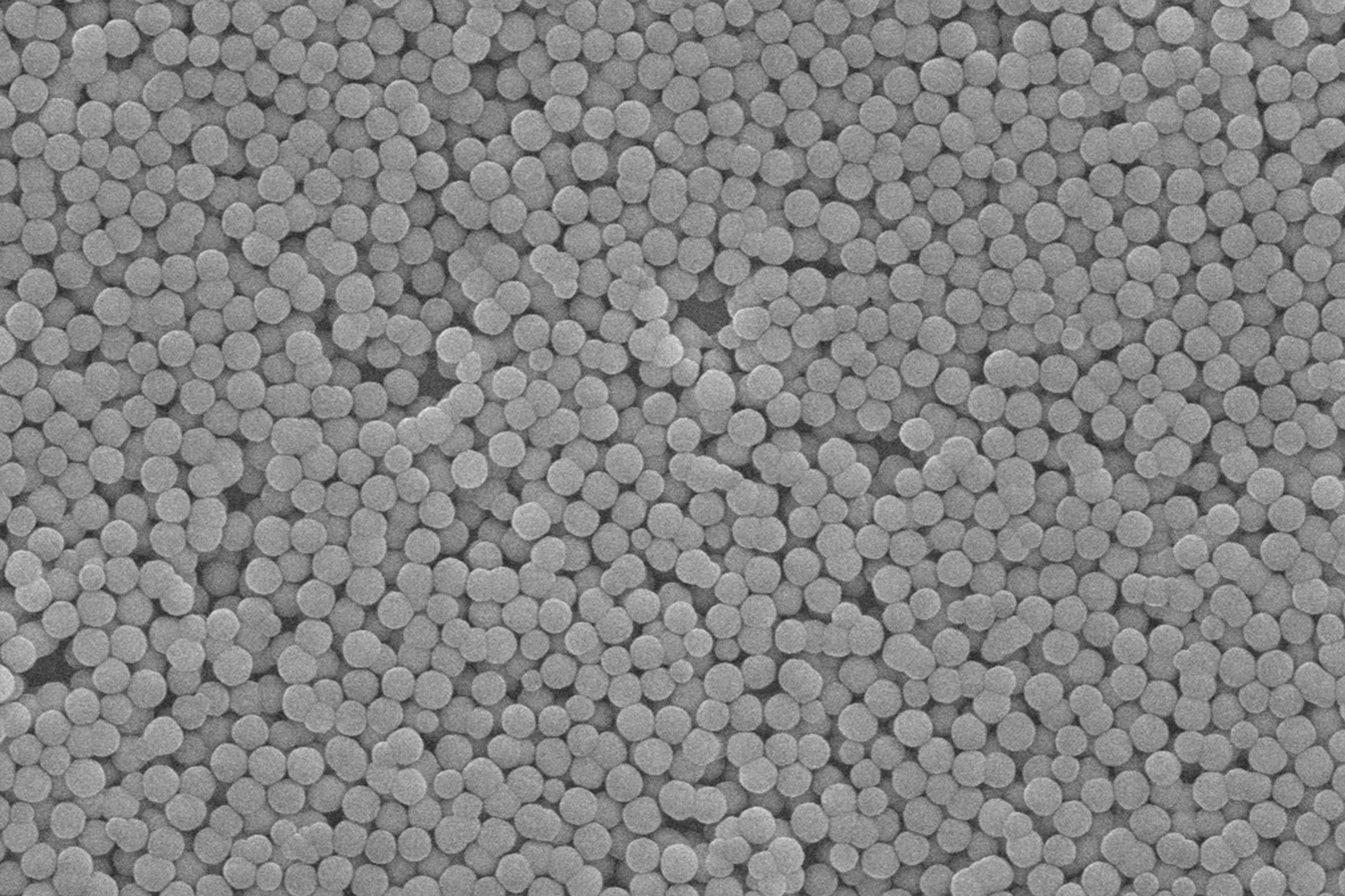 China Factory - Nanjing Rebeads Biotech Co.,Ltd
