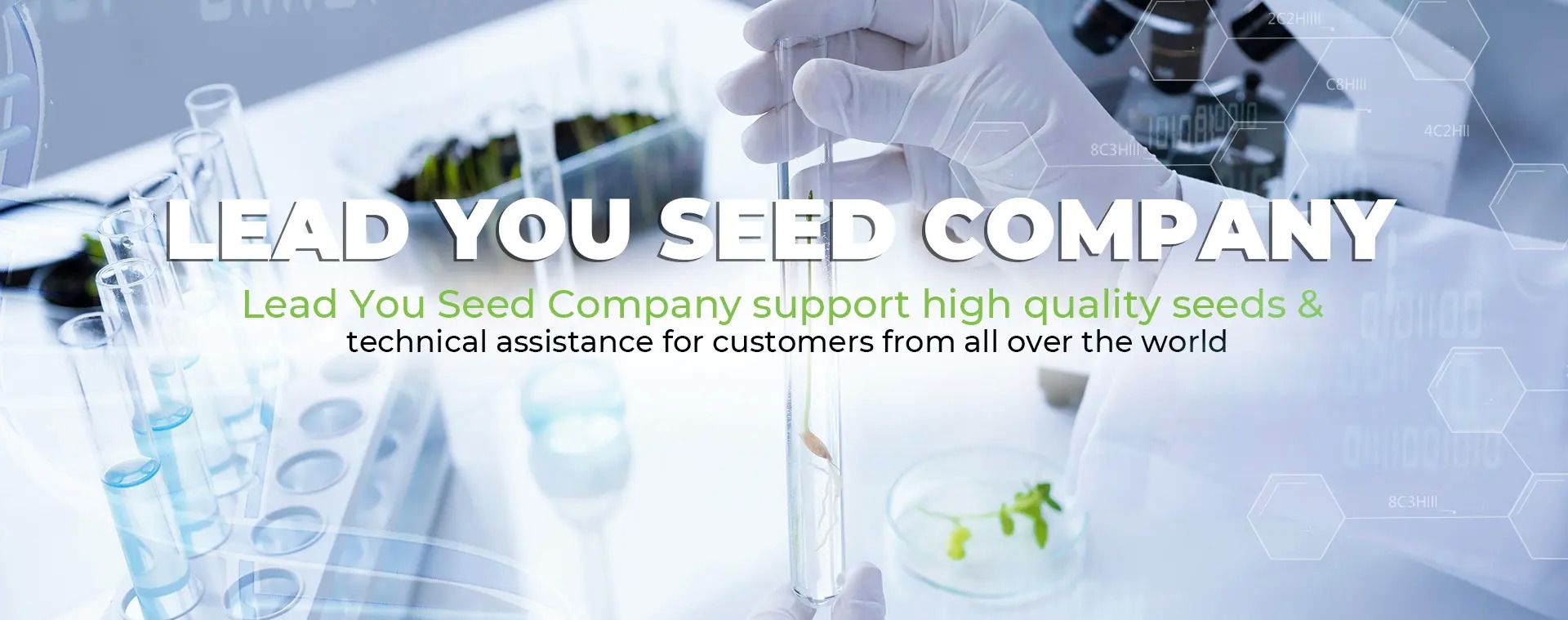 China Factory - Guangzhou Lead You Seed Co., Ltd