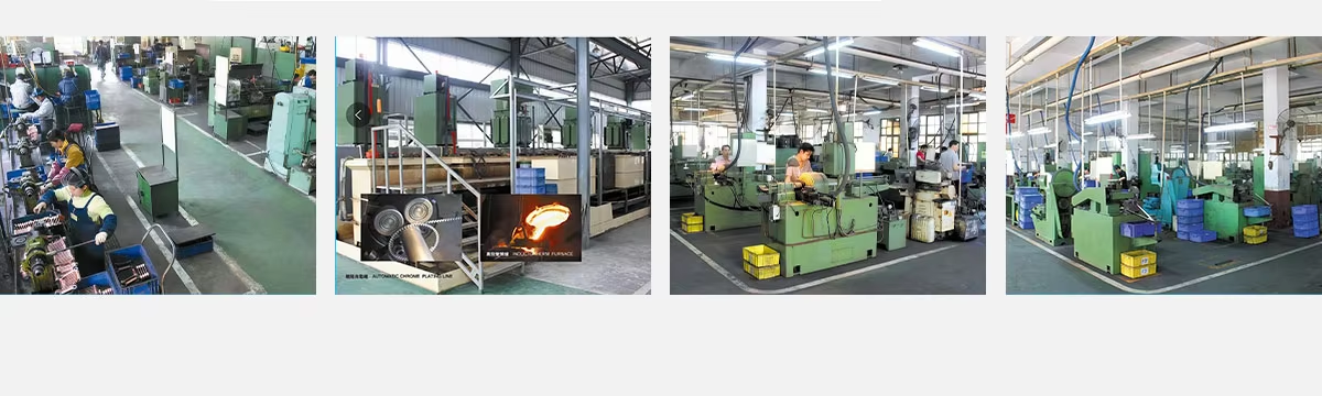 China Factory - Henan Kunchi International  Co., Ltd.