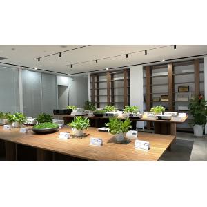 China Factory - Shenzhen SMX Display Technology Co., Ltd.