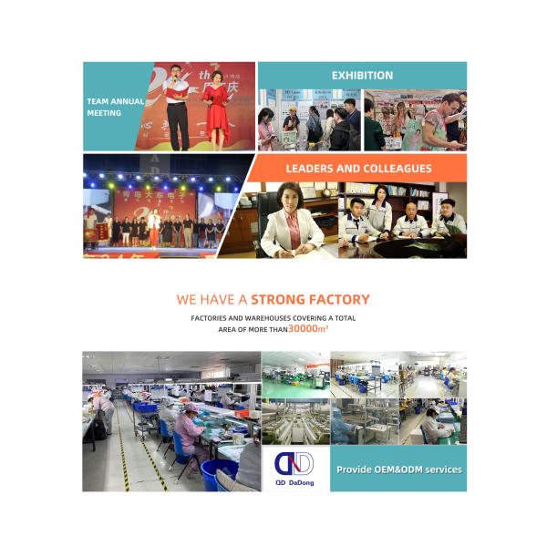 China Factory - Qingdao Dadong Electronics Co., Ltd.