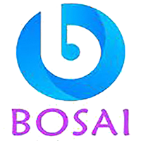 China factory - Zhengzhou Bosai Automotive Parts Co., Ltd.