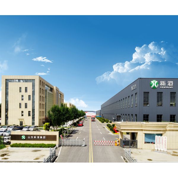 China Factory - Shandong Xingang Group 