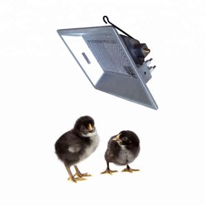 gas brooder heating equipment for chicken house