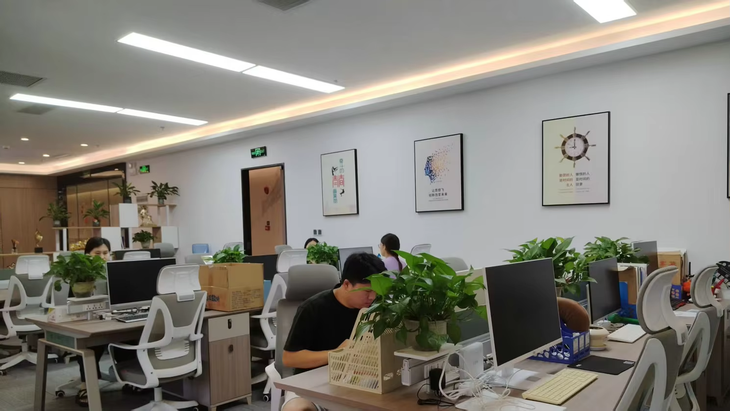China Factory - Wuhan Zhenhe Food Tech Co., Ltd.