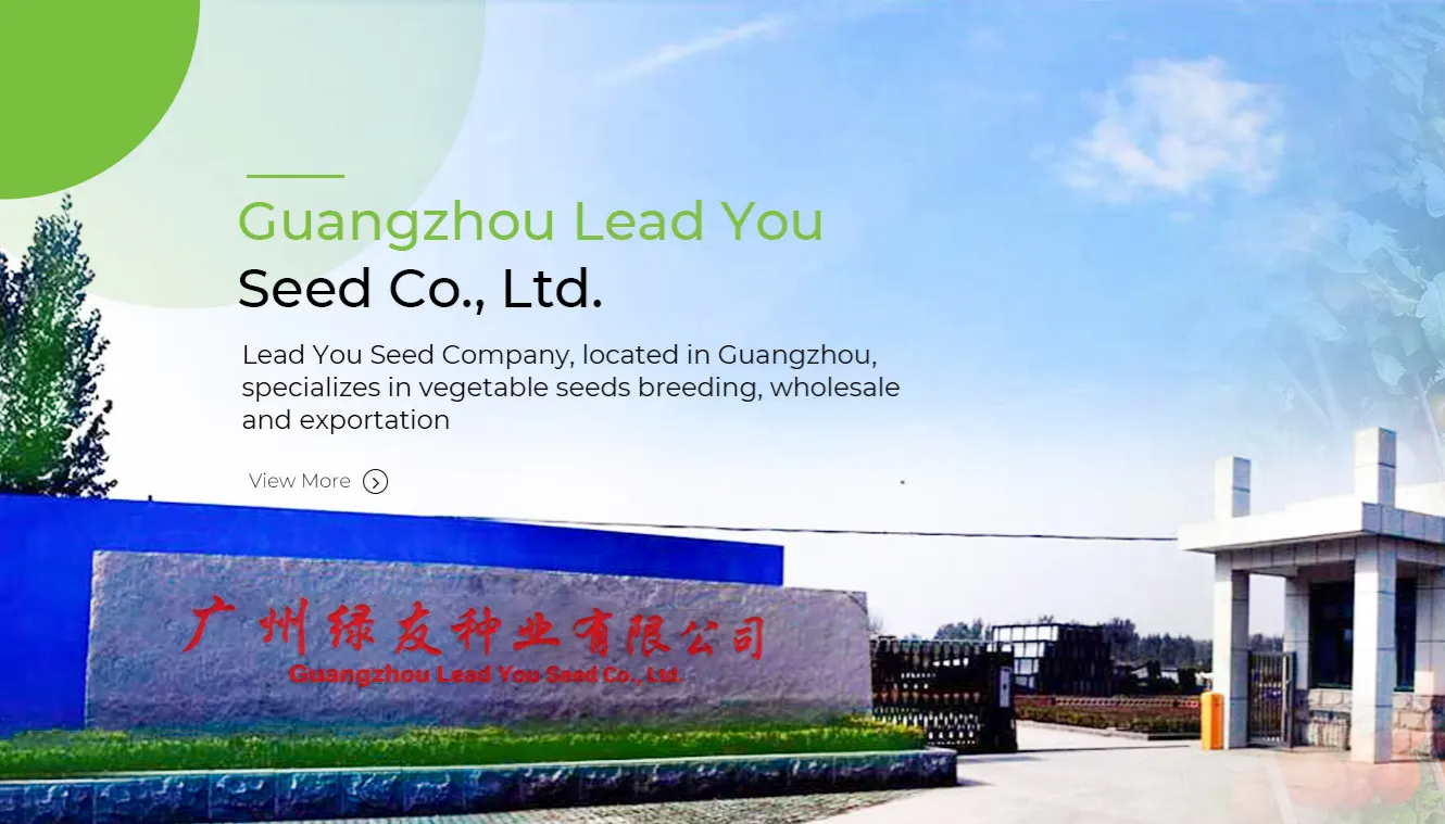 China Factory - Guangzhou Lead You Seed Co., Ltd