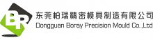 China factory - Dongguan Boray Precision Mould Co., Ltd