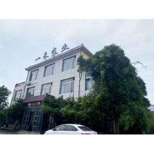 China Factory - Shandong Yihe Agricultural Technology Co., Ltd.