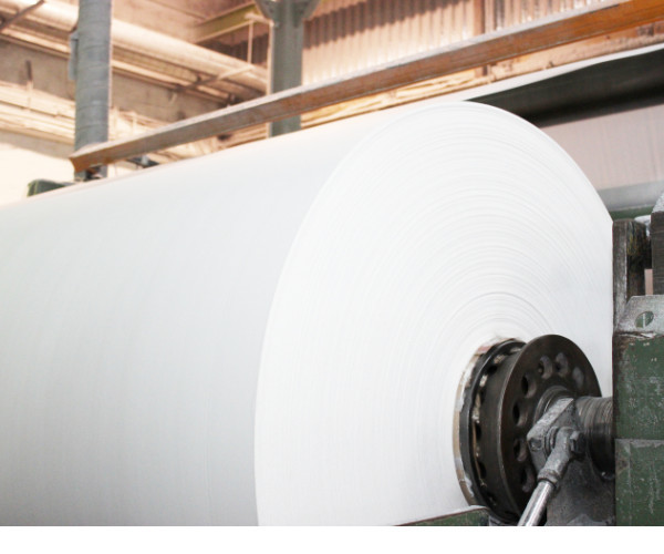 China Factory - China Paper Company Limited