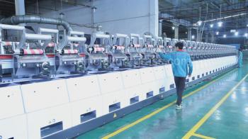 China Factory - All Victory Grass (Guangzhou) Co., Ltd
