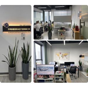 China Factory - Surigor Shipping (China) Co., Ltd.