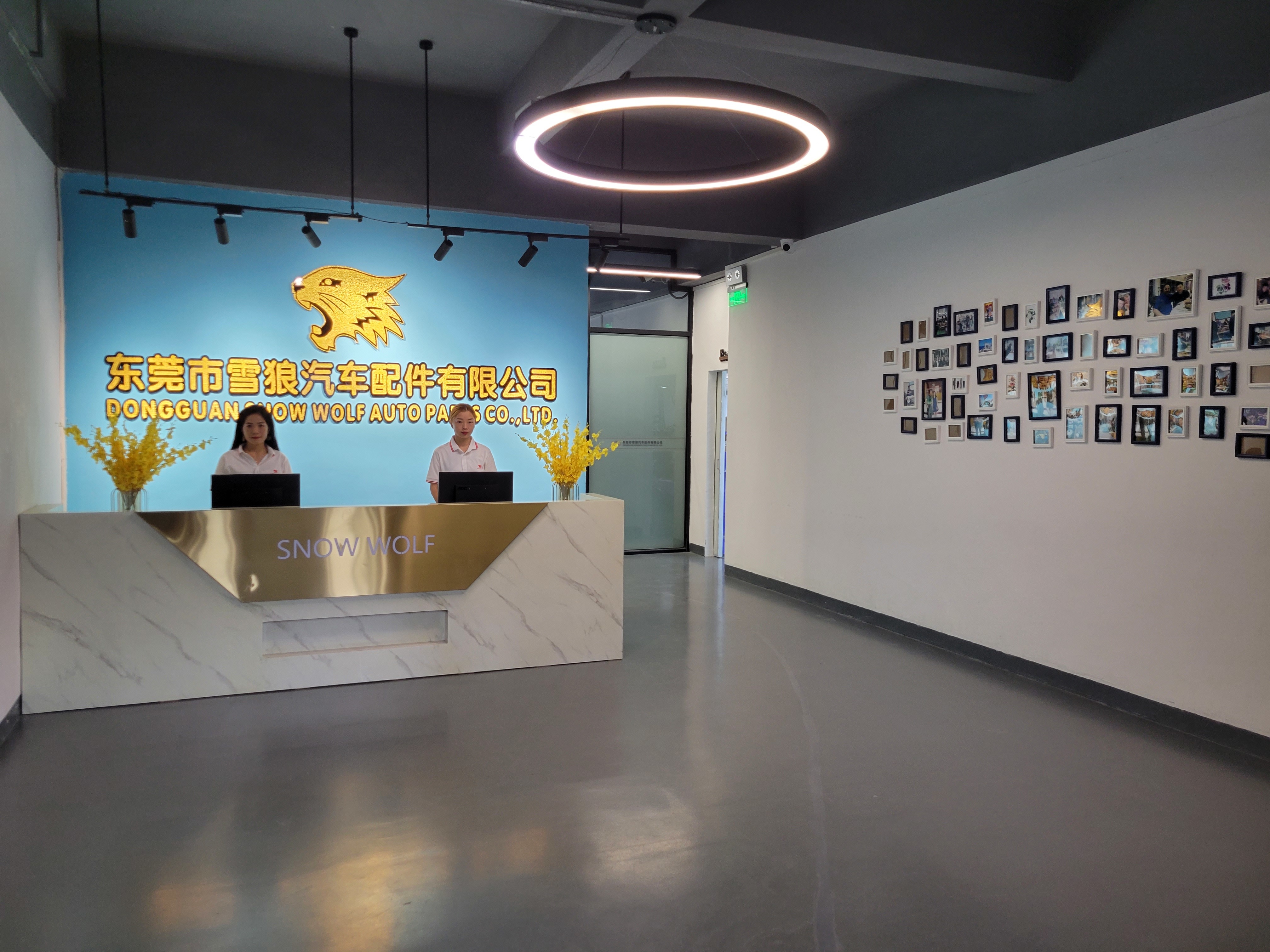 China Factory - Dongguan Snow Wolf Auto Parts Co., Ltd.