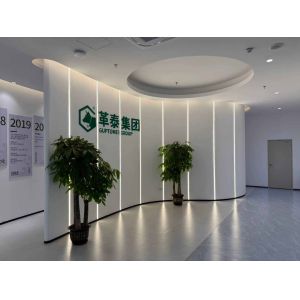 China Factory - Shenzhen Guptomes Group Co., Ltd.