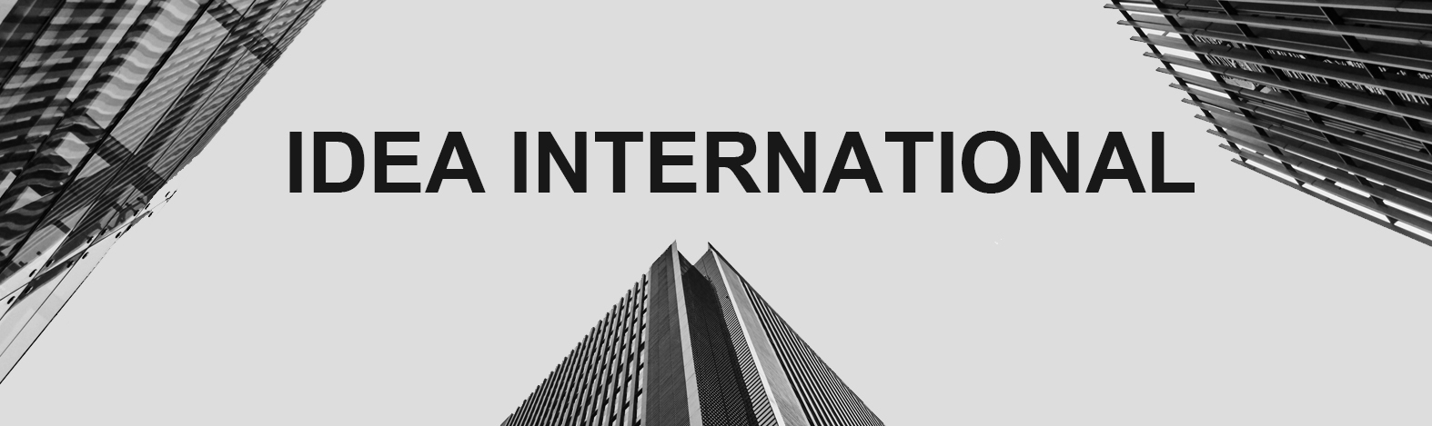 China Factory - IDEA International Group（HK） Ltd. 
