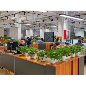 China Factory - Shenzhen SMX Display Technology Co., Ltd.