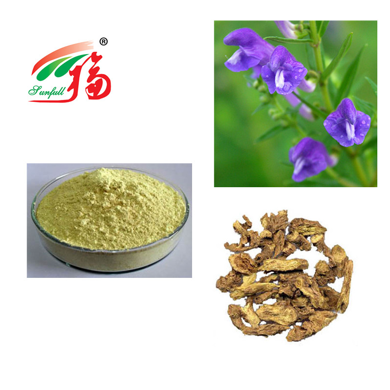 China Natural Scutellaria Baicalensis Extract 85% Baicalin Herbal Plant Extract