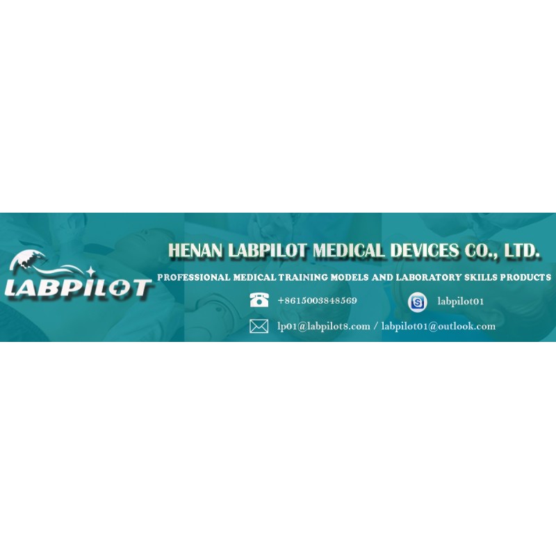 China factory - Henan Labpilot Medical Devices Co., Ltd.