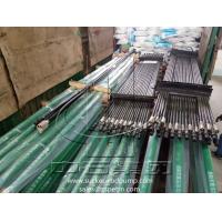 China Mechanical Anchor Heavy Wall Thin Wall SRP Pump