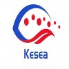 China factory - Xinxiang Kesea new material technology co., ltd